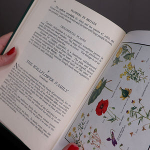 An open copy of 'Flowers in Britain' by LJF Brimble featuring a botanical illustration of poppies, water lillies and rock roses. Book available from Bramble and Fox UK cosy homeware shop