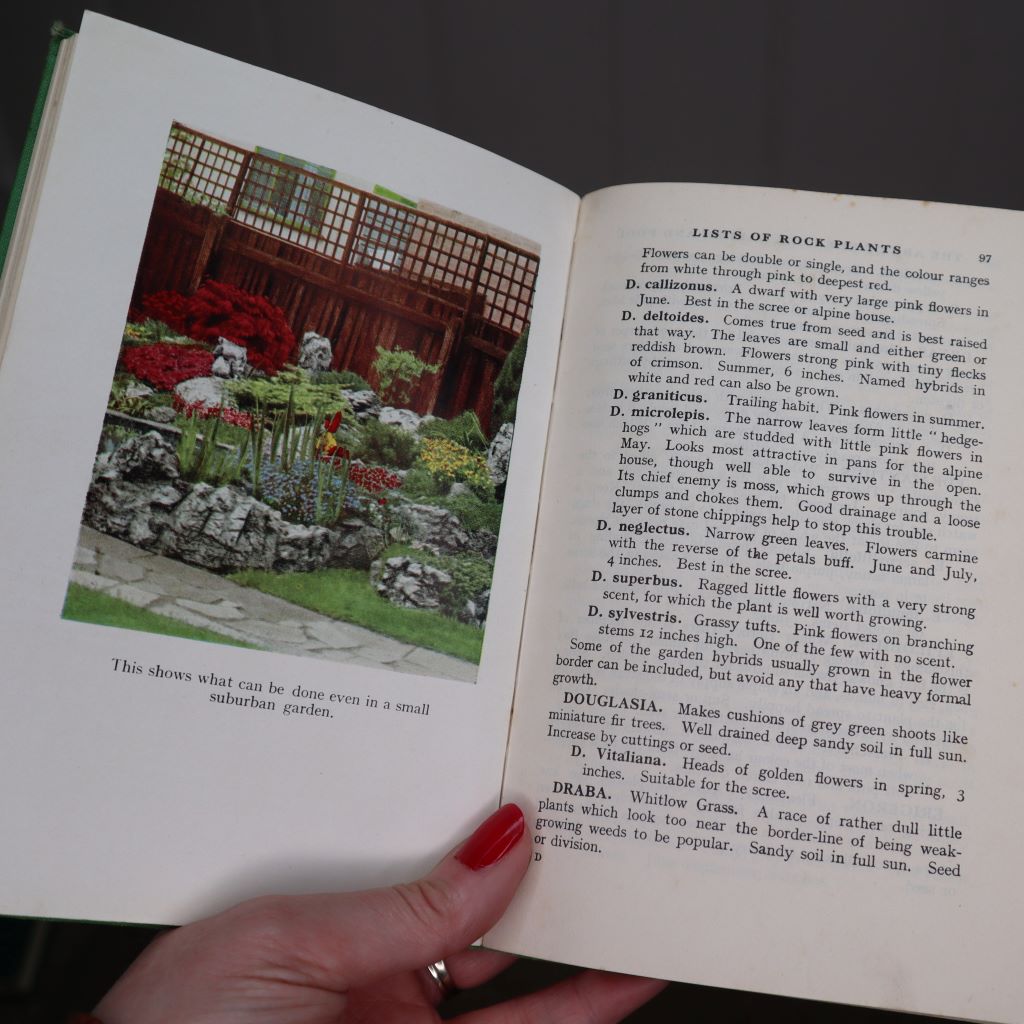 A brightly coloured illustration of a small, easily achieved rock garden from The ABC of the Rock Garden and Pool by W.E Shewell Cooper. Available from Bramble & Fox UK hygge shop