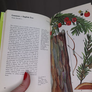 A Colour Guide to Familiar Trees, Leaves, Bark and Fruit (1975 edition) by Jaromir Pokorny