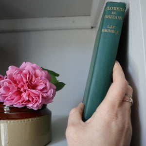 A hand pulling a copy of 'Flowers in Britain' by LJF Brimble from a shelf. Book available from brambleandfoxshop.com