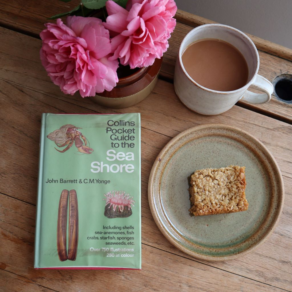 Overhead shot of collins pocket guide to the sea shore by John Barrett and CM Yonge. A flapjack rests on a rustic plate with a chunky tea mug. All  available from Bramble and Fox UK hygge shop