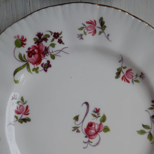 alt="close up of dainty rose motifs from vintage Paragon china plate. Available from Bramble and Fox UK cottagecore shop"
