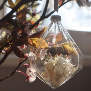 Botanical Bauble Decoration by Thistle & Moss