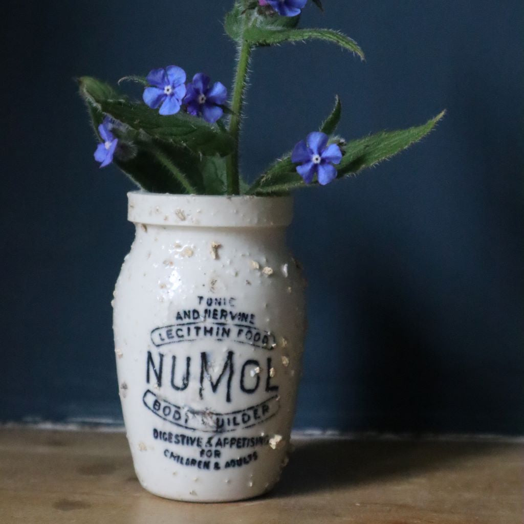alt="antique numol pot jar filled with wildflowers on hague blue background. Available from Bramble & Fox UK hygge shop"