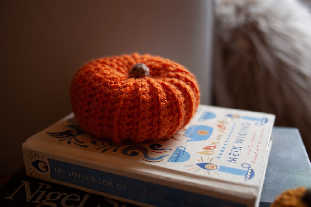 Medium Crochet Pumpkin by Rosie and Max Crafts
