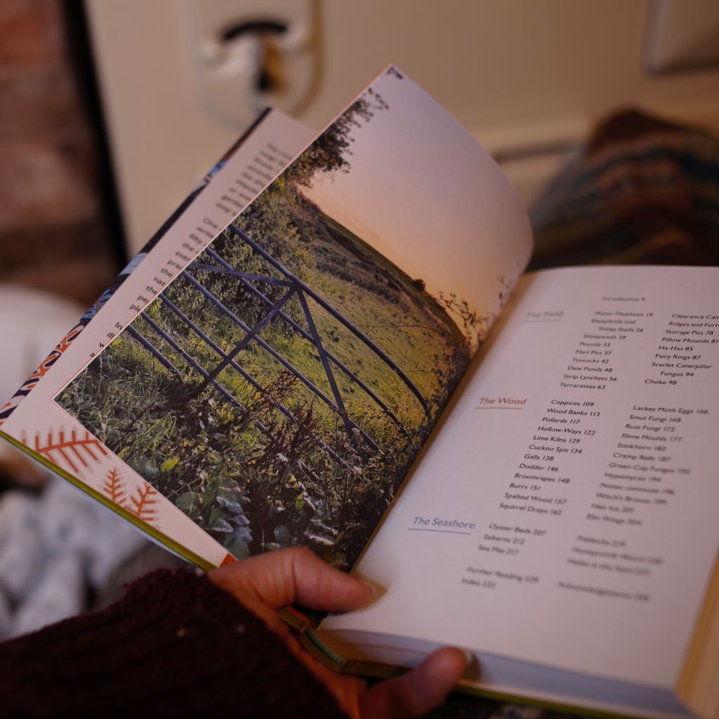 alt="Bex Massey's hand holding the book A Spotter's Guide to Countryside Mysteries. Page shows gated farm land in sunlight. Book available from Bramble and Fox UK hygge homewares and gifts."