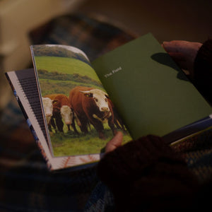 alt="Bex Massey's hands holding the book A Spotter's Guide to Countryside Mysteries. Page shows cattle in field. Book available from Bramble and Fox UK hygge homeware and gifts"