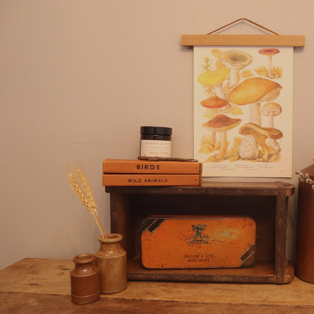 alt="vintage wooden brick mould styled with botanical mushroom illustration, stoneware and vintage books. Available from Bramble and Fox UK cottagecore shop."