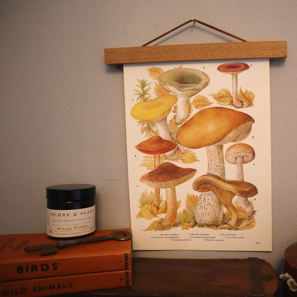 alt="vintage toadstool illustration by BE Nicholson hanging on wall next to vintage books, candle and key. All available from Bramble and Fox UK hygge shop"