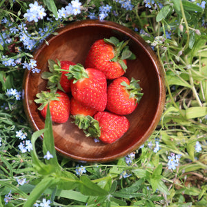 alt="overhead cottagecore style shot of wooden bowl filled with strawberries with foliage and forget-me-nots available at Bramble and Fox UK hygge cottagecore shop"