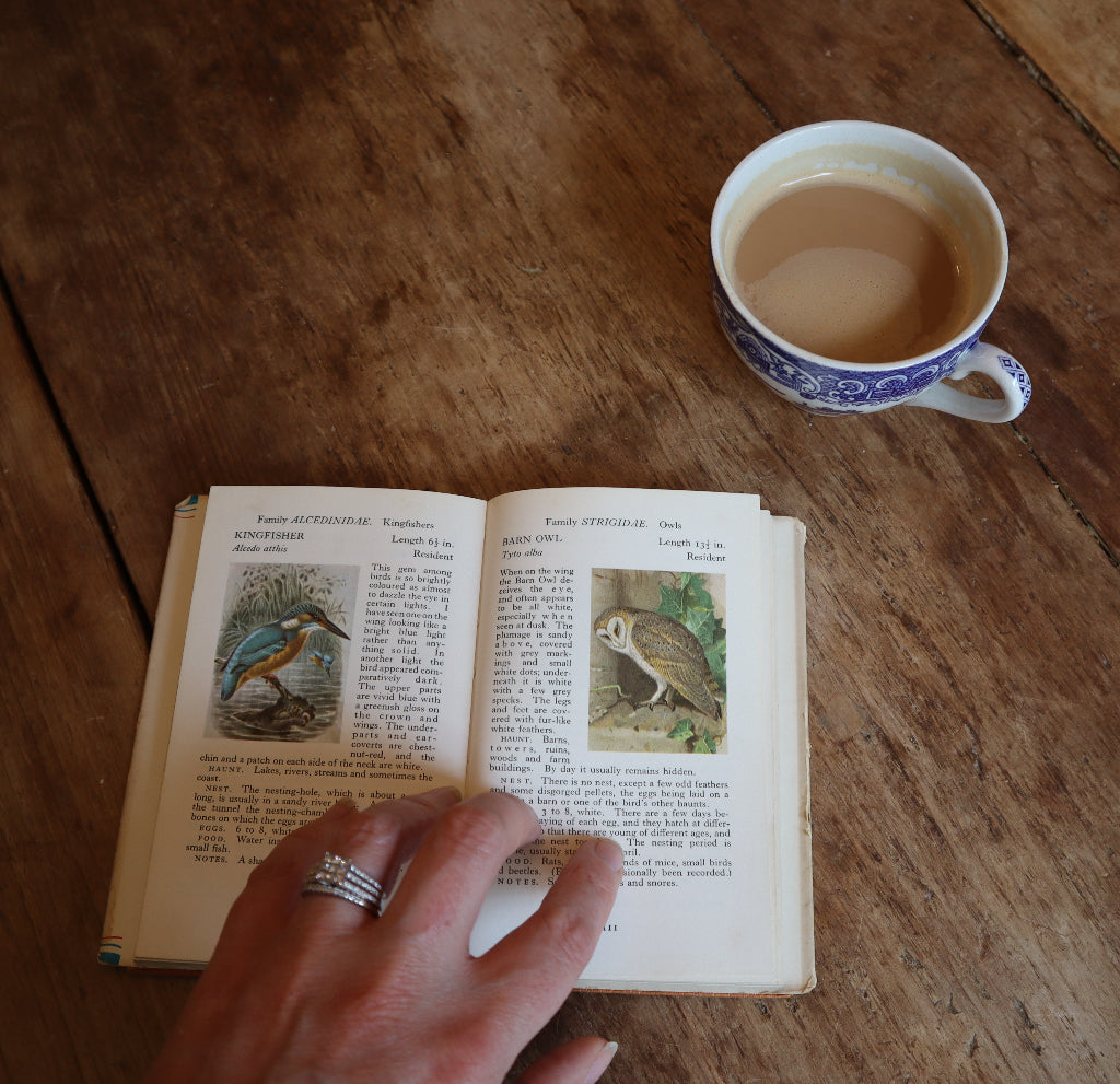 alt="the observer's book of birds open with woman's hand and coffee cup. Available at Bramble and Fox UK hygge shop"