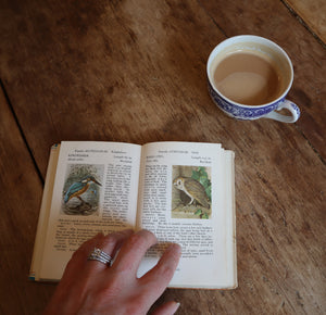 alt="the observer's book of birds open with woman's hand and coffee cup. Available at Bramble and Fox UK hygge shop"